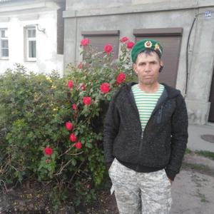 Petr, 43 года, Новочеркасск
