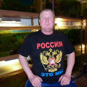 Николай Новгородов, 65 лет, Курган
