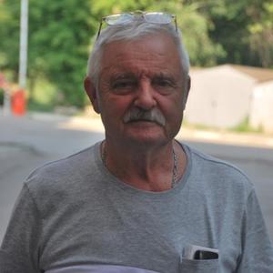 Николай Урусов, 79 лет, Самара