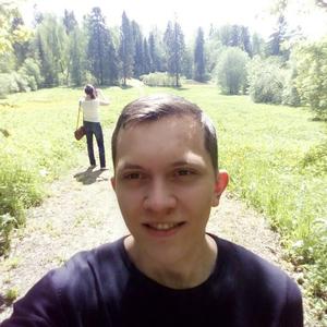 Дмитрий, 29 лет, Череповец