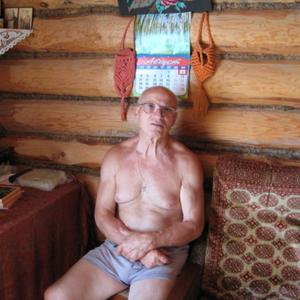 Владимир, 83 года, Нижний Новгород