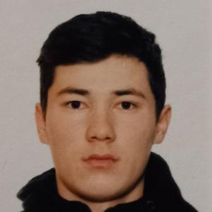 Fahriddin, 22 года, Москва