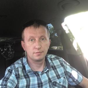 Ярослав, 39 лет, Лобня