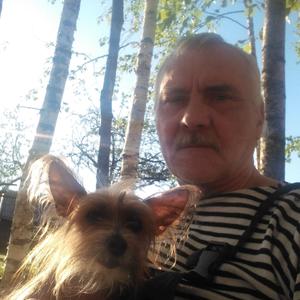 Парни в Твери: Евгений, 63 - ищет девушку из Твери