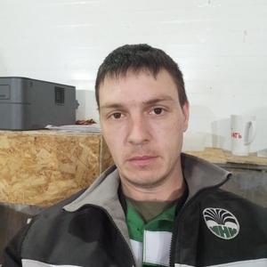 Сергей, 39 лет, Усть-Кут