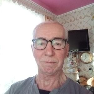 Александр, 67 лет, Щекино