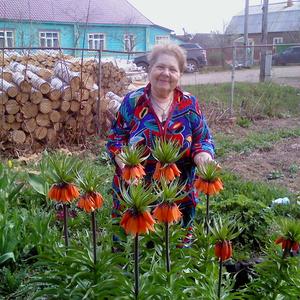 Анна, 74 года, Воронеж