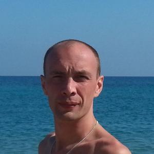Алексей Костин, 47 лет, Фрязино