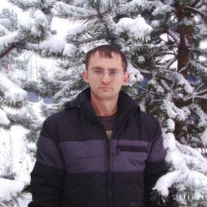 Владимир Литвин, 48 лет, Лесной