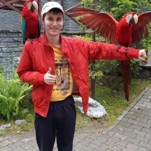 Парни в Новосибирске: Сергей, 26 - ищет девушку из Новосибирска