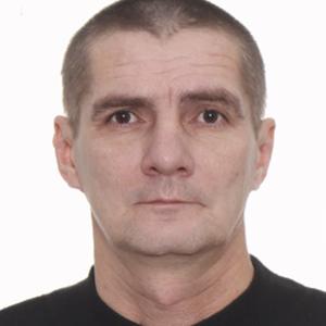 Владимир, 45 лет, Чернушка