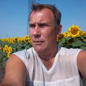 Vladimir Popov, 55 лет, Нальчик