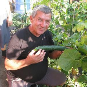 Вячеслав, 69 лет, Сызрань