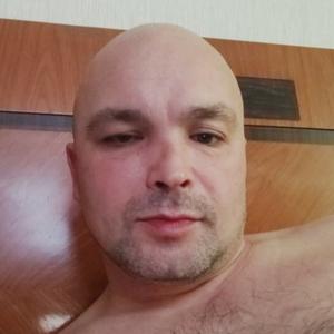 Влад, 43 года, Кременчуг