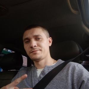 Сергей Чеканин, 35 лет, Новомосковск