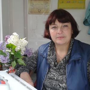 Лида Стадник, 62 года, Ивантеевка