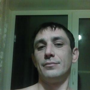 Николай, 41 год, Старый Оскол