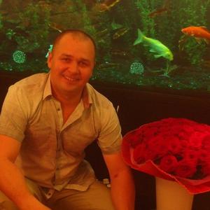 Жамиль Ильязов, 43 года, Ульяновск