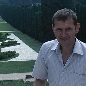 Андрей Игнатьев, 47 лет, Тольятти