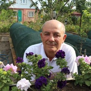 Пётр Возницкий, 79 лет, Ростов-на-Дону