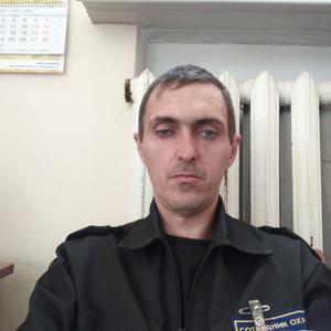 Василий, 41 год, Новокуйбышевск