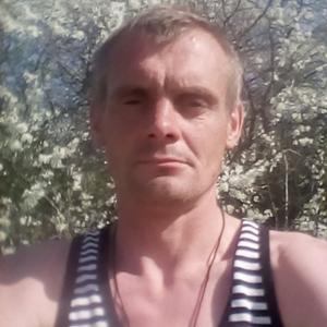 Андрей, 41 год, Владимир