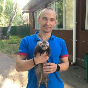 Парни в Омске: Андрей Шмигирин, 29 - ищет девушку из Омска