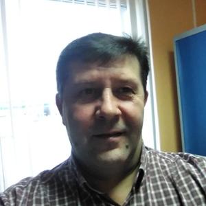 Александр Милащенко, 52 года, Урдома