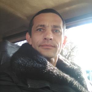 Сергей, 47 лет, Домодедово