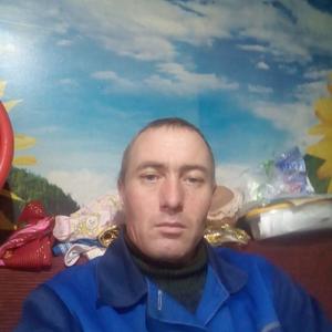 Дима, 40 лет, Куйтун