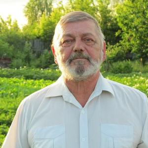 Алесандр Грабаренко, 73 года, Моршанск