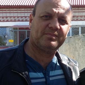 Василий, 51 год, Коломна