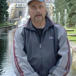 Вадим Усков, 63 года, Йошкар-Ола