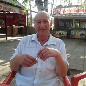 Евгений, 66 лет, Воронеж