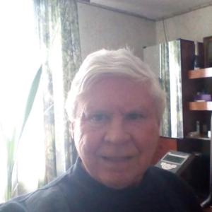 Alexandr Filimonov, 68 лет, Кинель-Черкассы