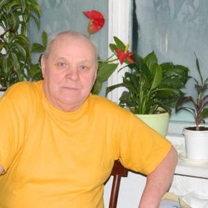 Gennadij Barsukov, 77 лет, Искитим