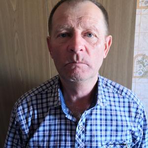 Виталий Якунин, 68 лет, Губкин