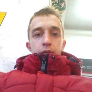 Дамир, 33 года, Александров