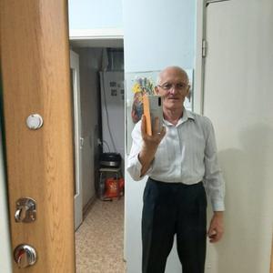 Петр, 68 лет, Ижевск
