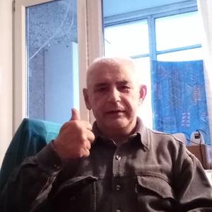 Виктор, 75 лет, Оленегорск