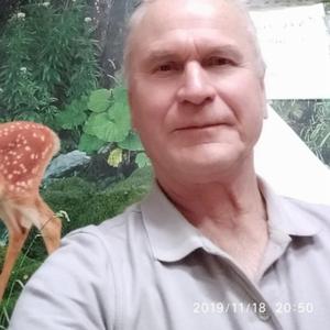 Николай, 63 года, Мичуринск