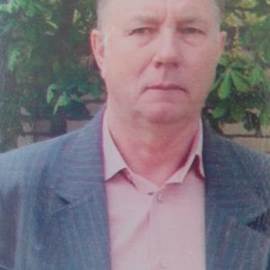 Виктор, 73 года, Ставрополь