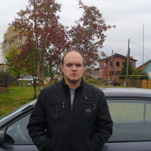 Александр Чипуштанов, 42 года, Полевской