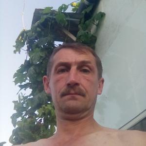 Андрей, 48 лет, Кинешма