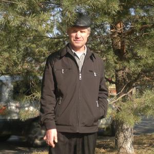 Алесандр, 62 года, Лесозаводск