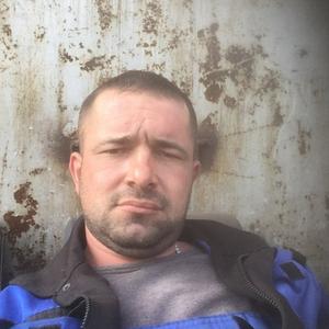 Александр, 36 лет, Заринск