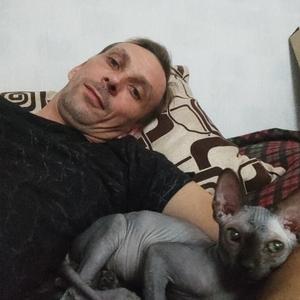 Парни в Сыктывкаре: Андрей, 46 - ищет девушку из Сыктывкара