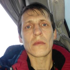 Анатолий, 47 лет, Арамиль