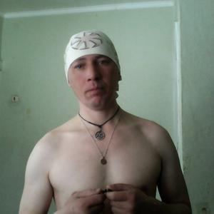 Владимир, 43 года, Бердск