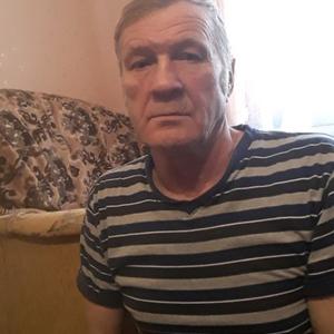 Николай, 64 года, Щекино